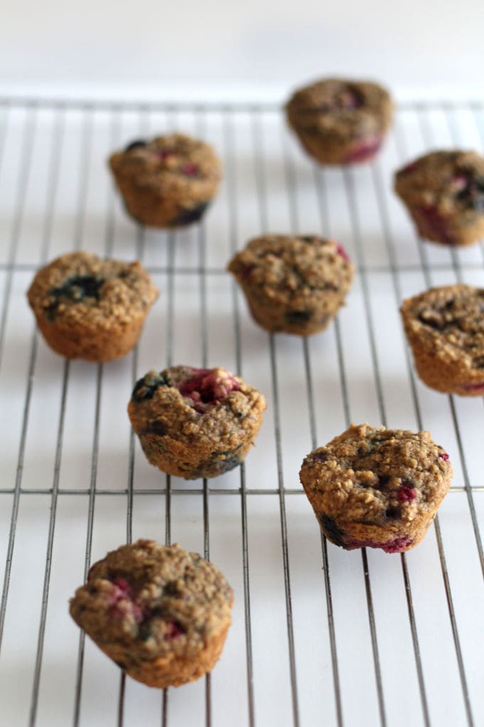 Many muffins on a wire rack.