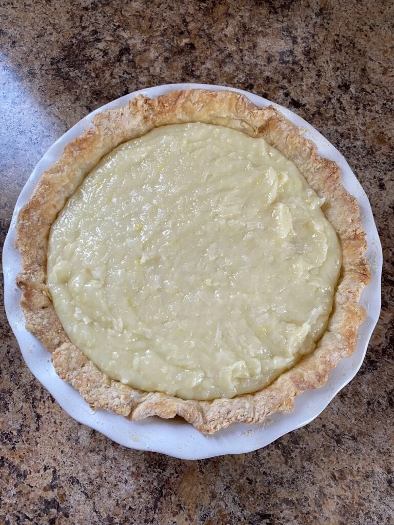 Pudding filling in a pie crust.