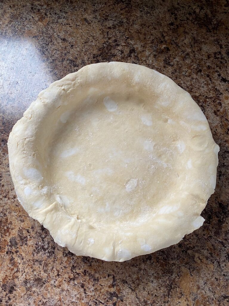 Bottom pie crust in a pie dish.