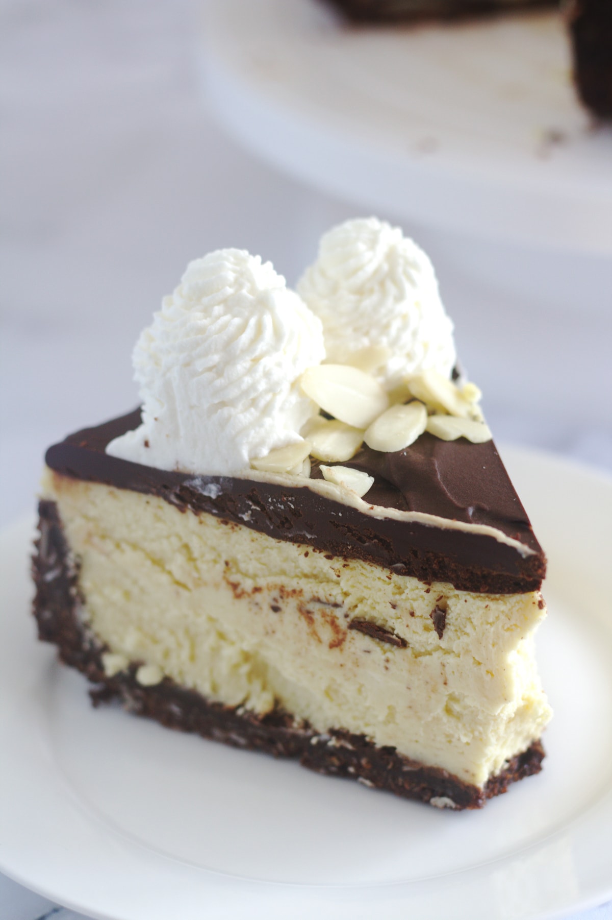 A slice of cheesecake on a plate.