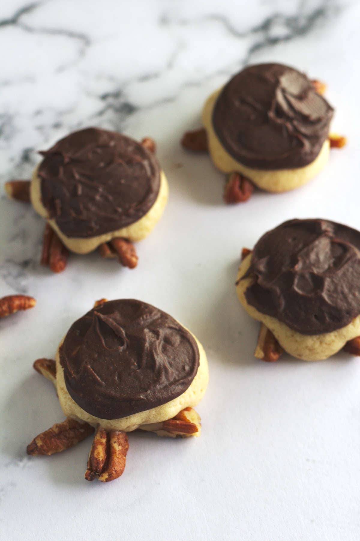Four turtle cookies with chocolate frosted tops.