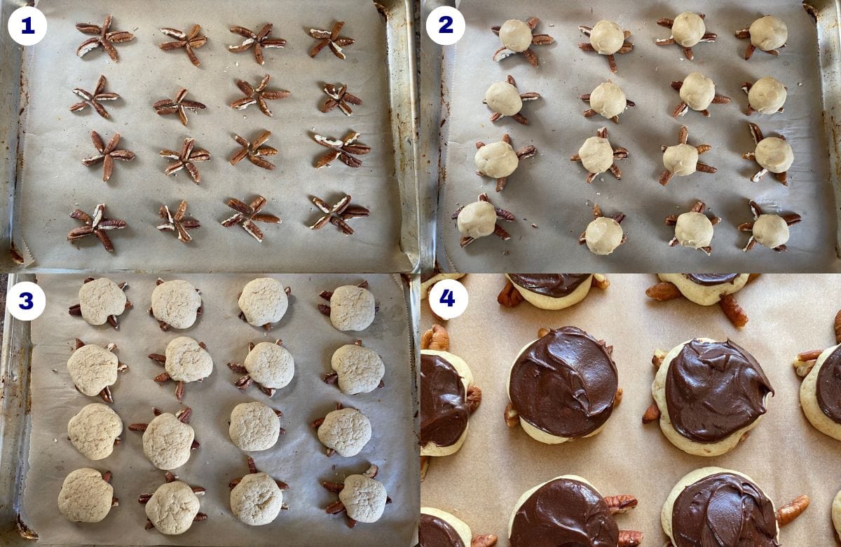 Snappy turtle cookie recipe instructions.
