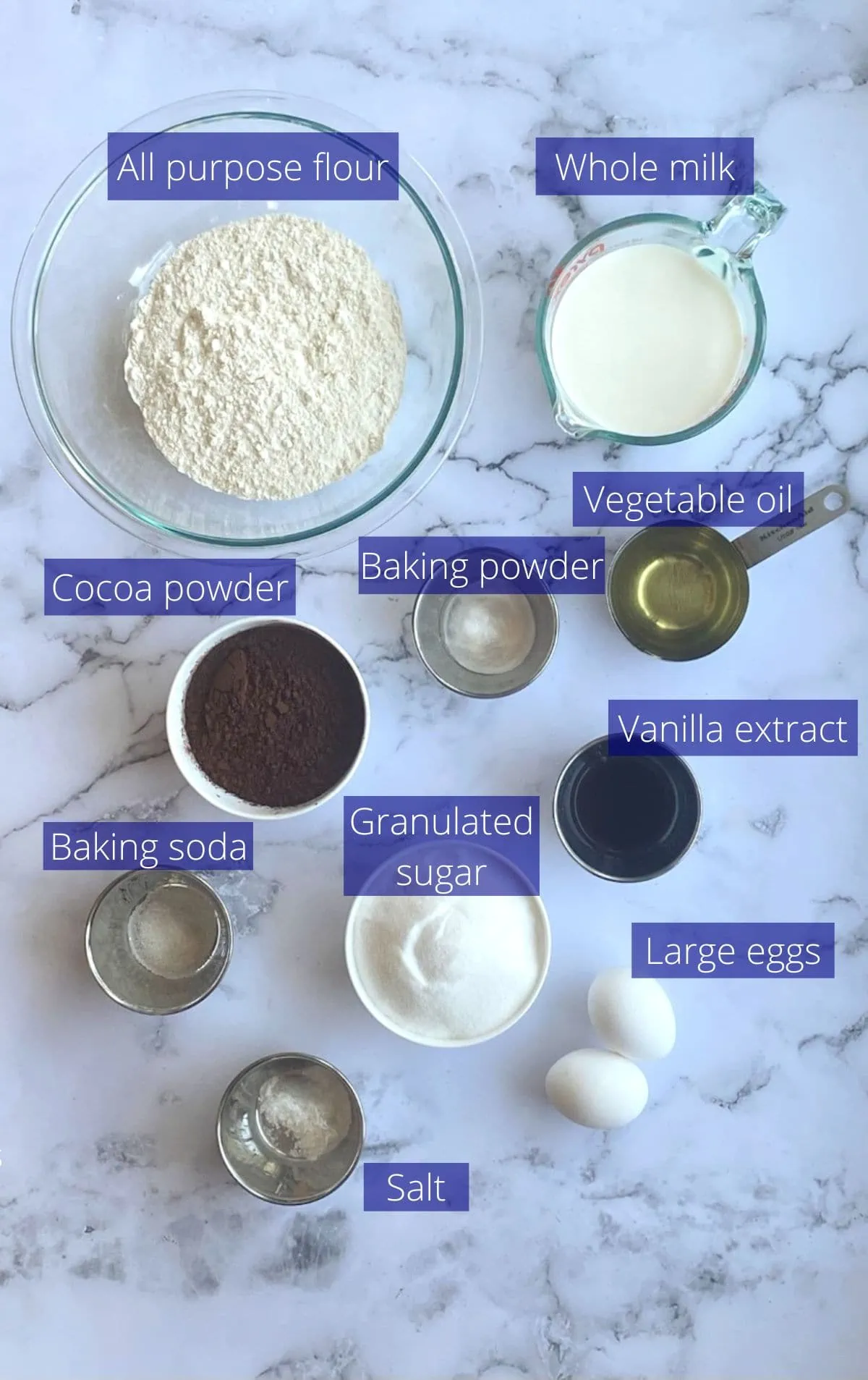Ingredients needed to make triple chocolate tres leches cake.