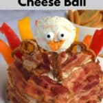 A cheese ball on a white plate. A small white bowl is behind it and is filled with crackers.