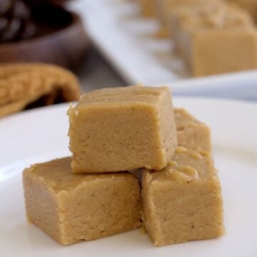 A bunch of fudge slices on a white plate.