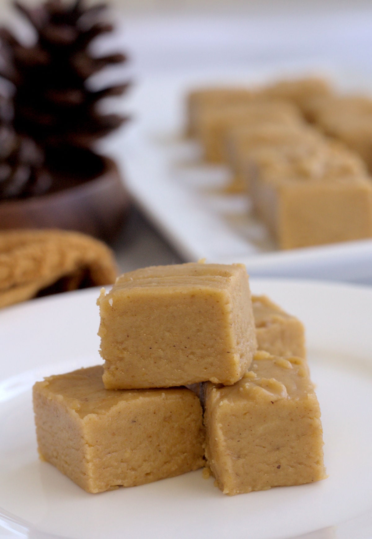 A bunch of fudge slices on a white plate.