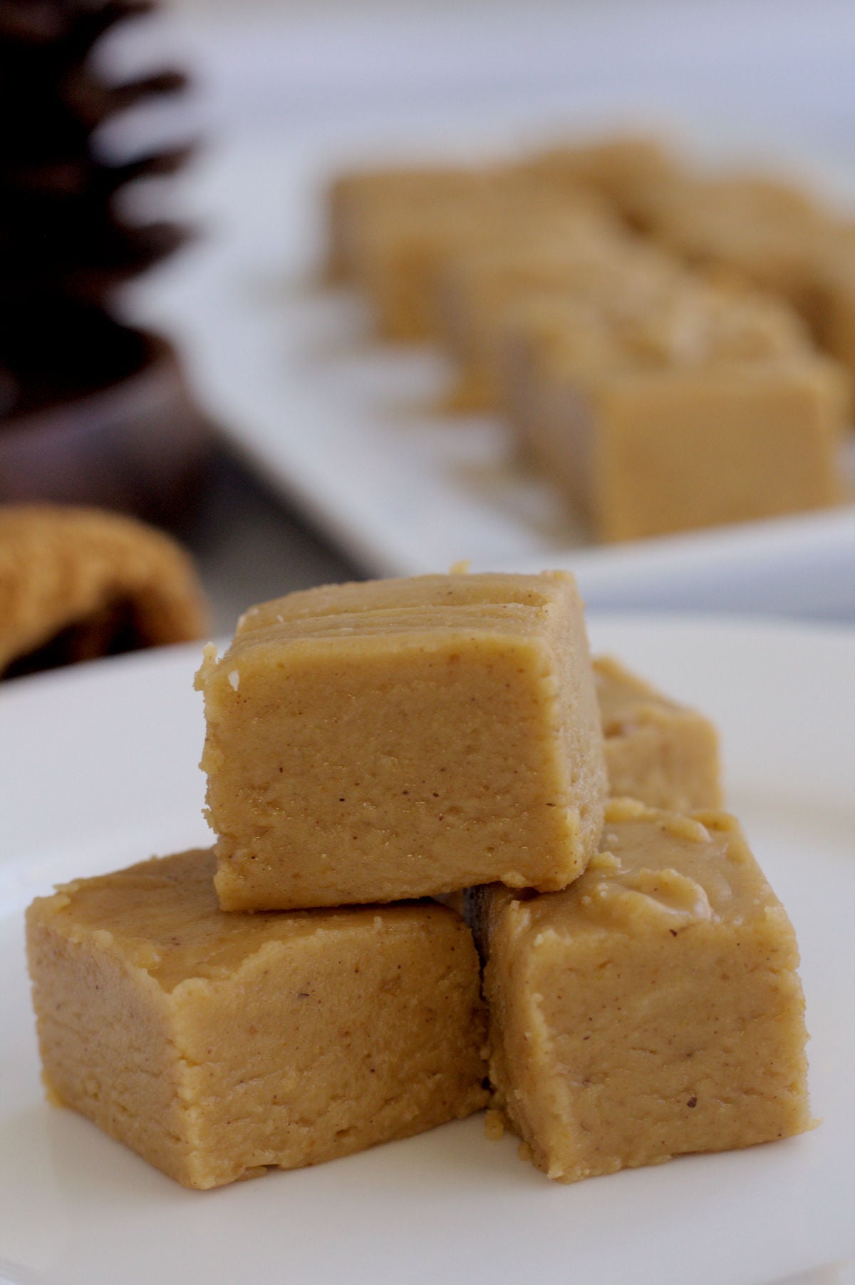 A bunch of fudge slices on a white plate.
